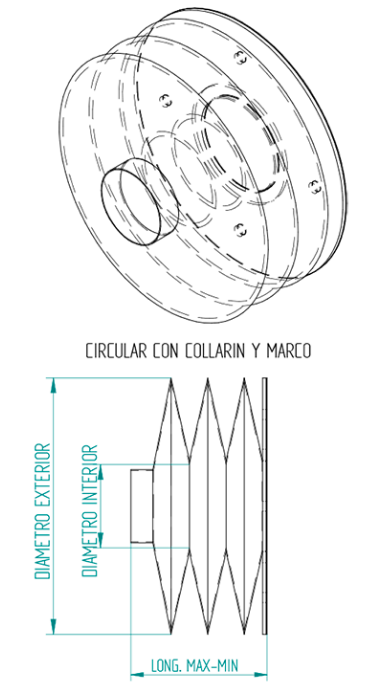 Circular con collarín y marco
